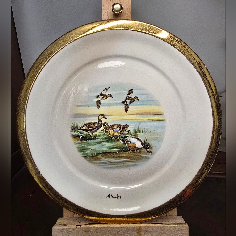 Alaska Decorative Plate with Duck Design
